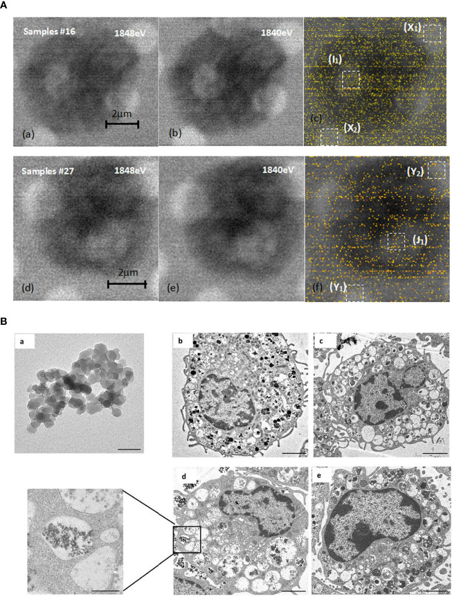 Figure 6