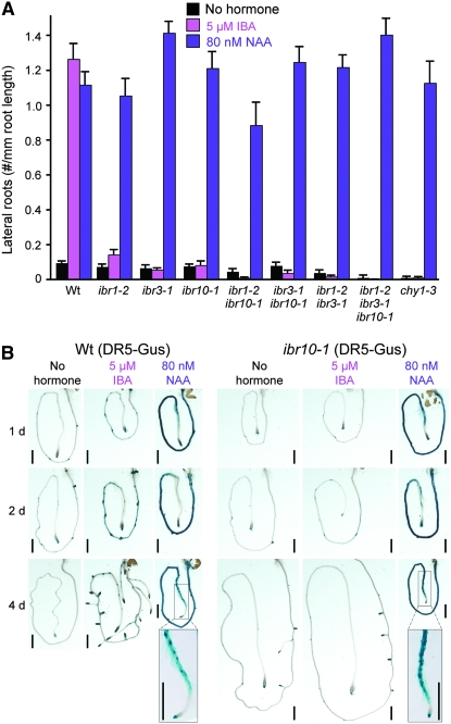 Figure 2.—