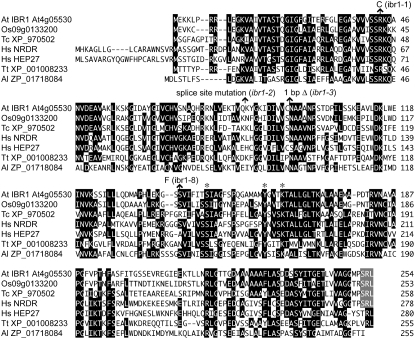 Figure 5.—