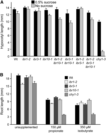 Figure 3.—