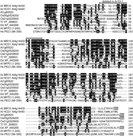 Figure 7.—