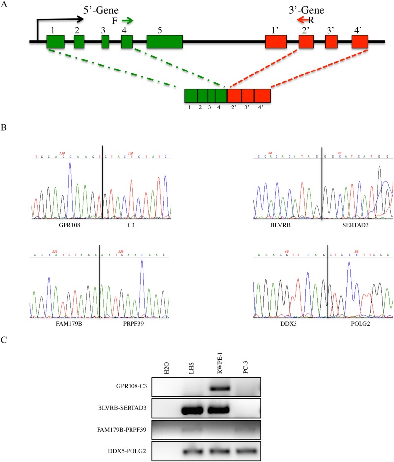 Fig 6