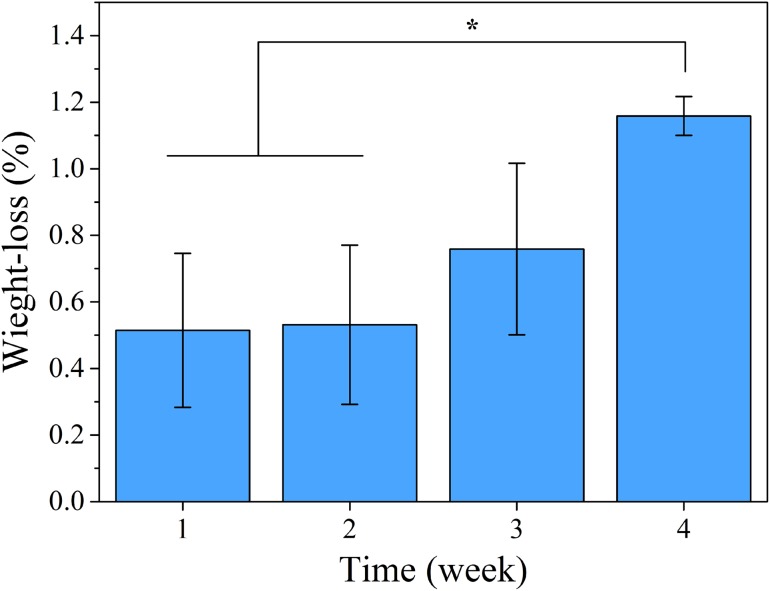 Fig. 6