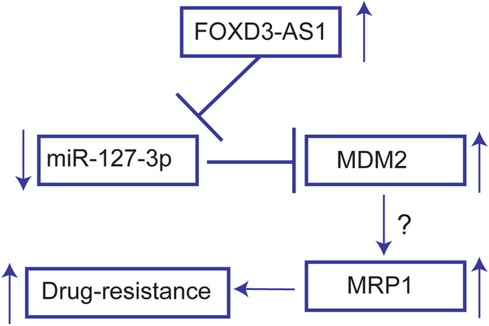 Fig. 7