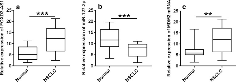 Fig. 6