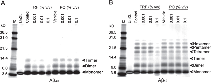 Fig.2