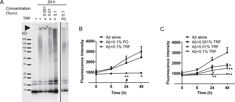 Fig.1