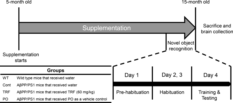 Fig.4