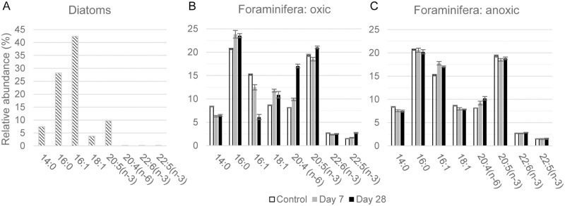 Fig 5