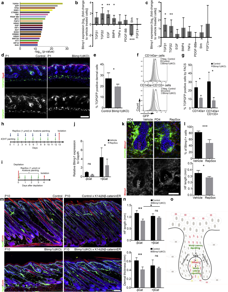 Figure 6