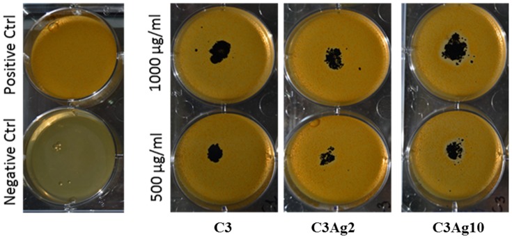 Figure 13