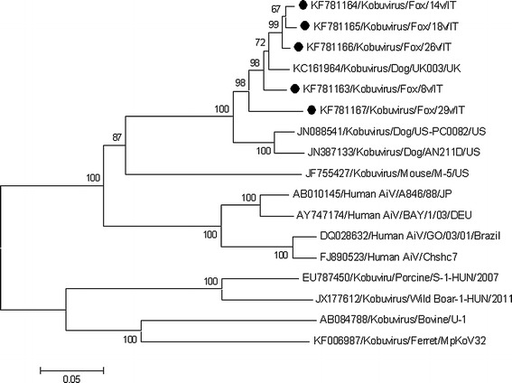 Fig. 1