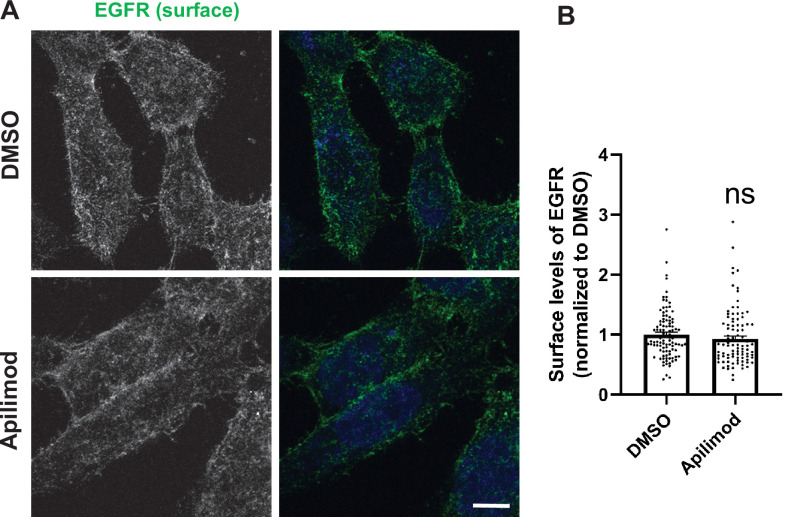 Figure 6—figure supplement 2.