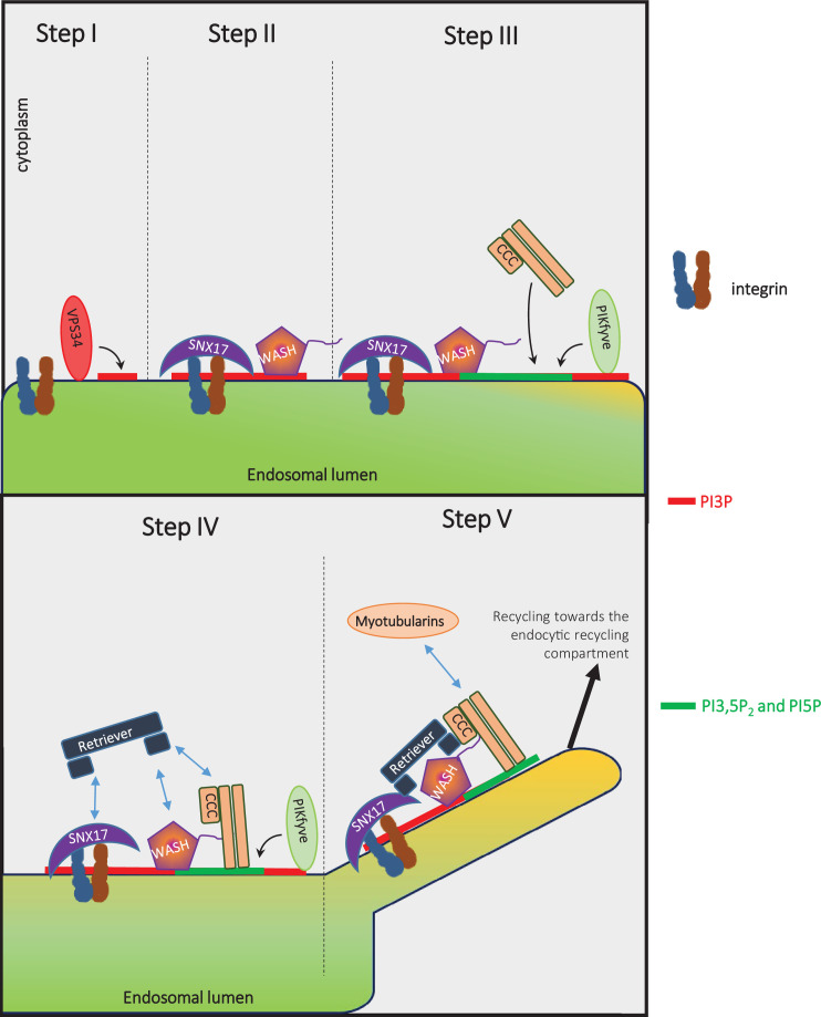 Figure 10.