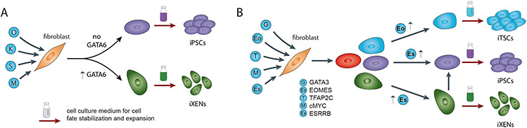 Figure 3: