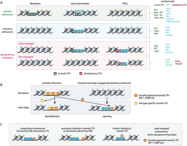 Figure 2: