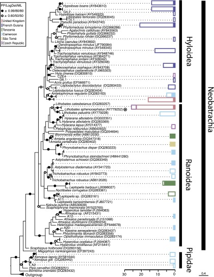 Fig. 3.