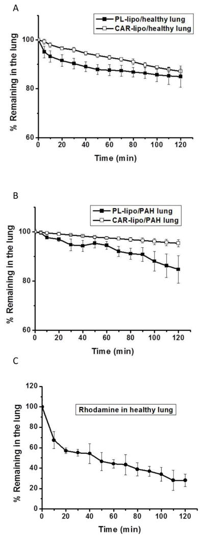 Fig. 9