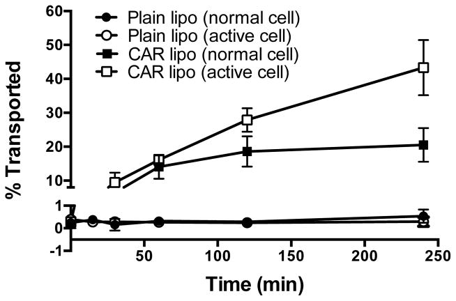 Fig. 8