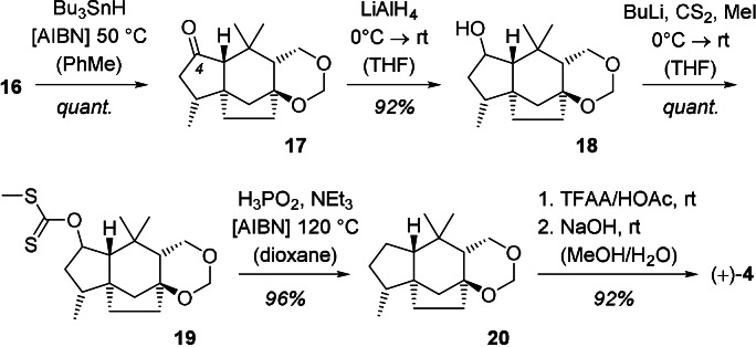 Scheme 5