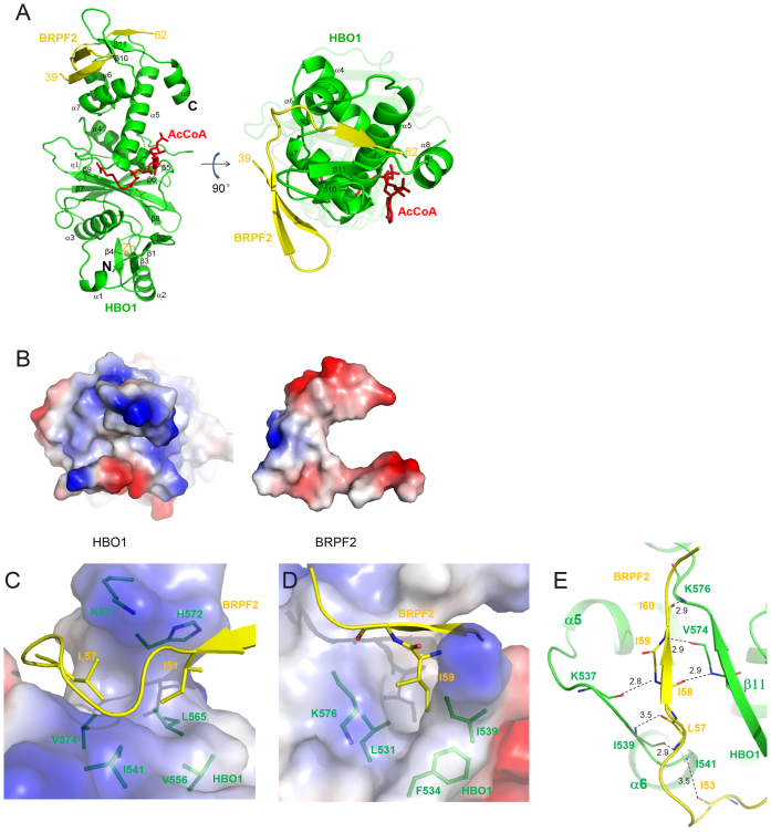 Figure 2.