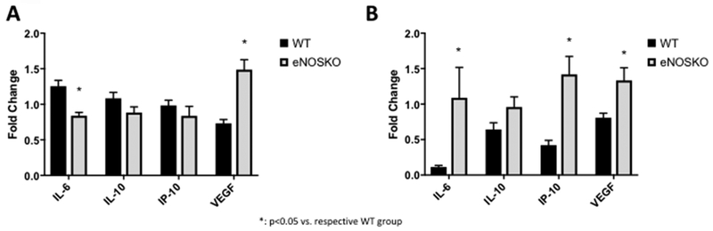 Figure 6: