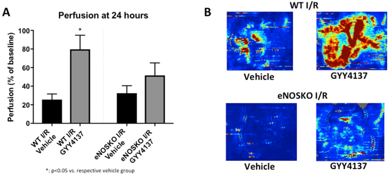 Figure 4: