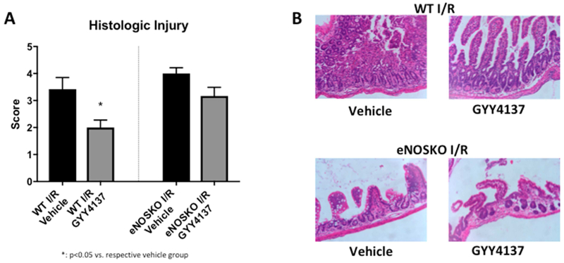 Figure 5: