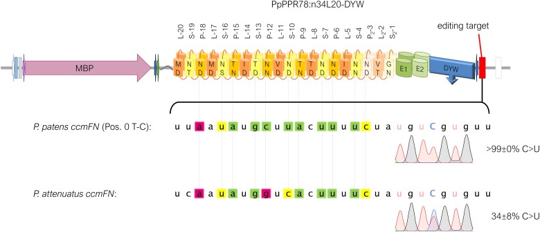 Figure 7.