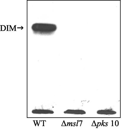 FIG. 4.