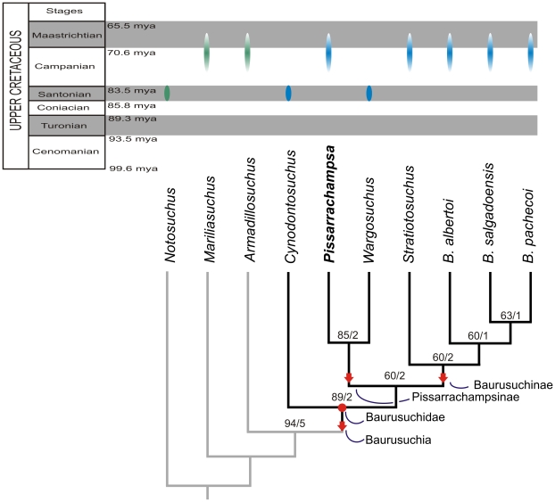 Figure 17