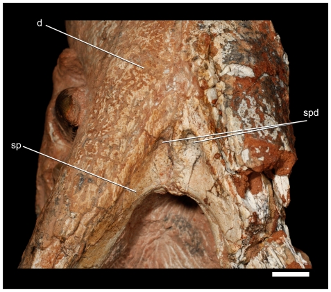 Figure 16