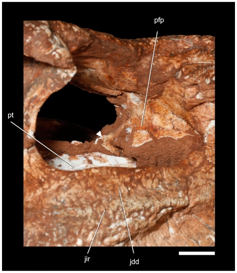 Figure 9