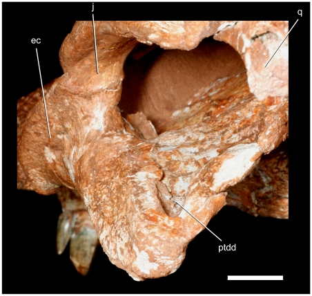 Figure 13