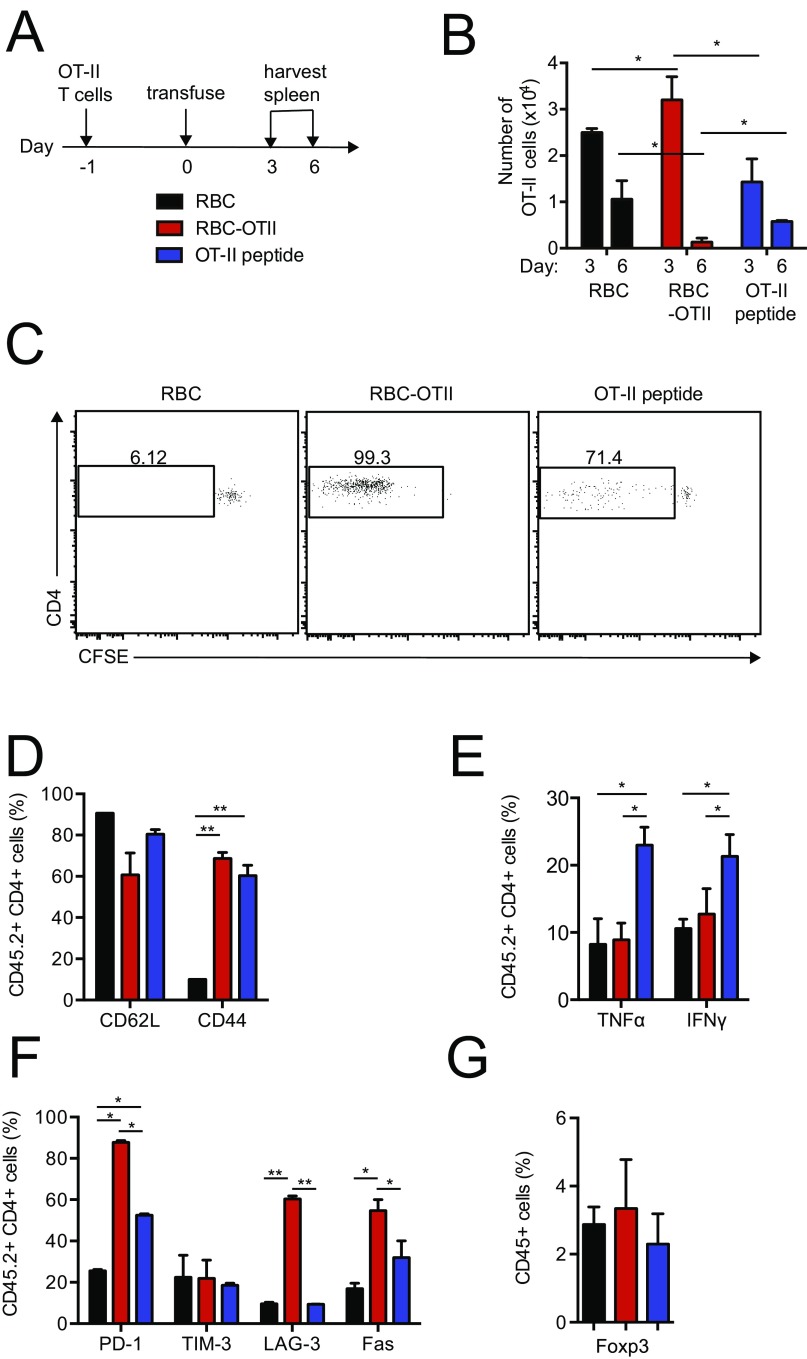 Fig. S4.