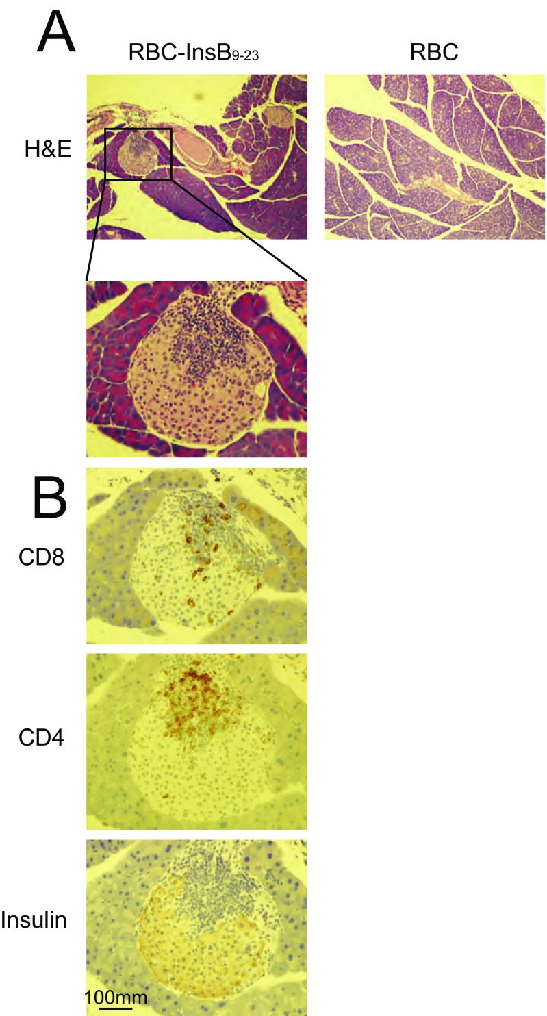 Fig. S7.