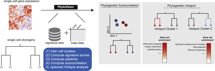 Figure 2