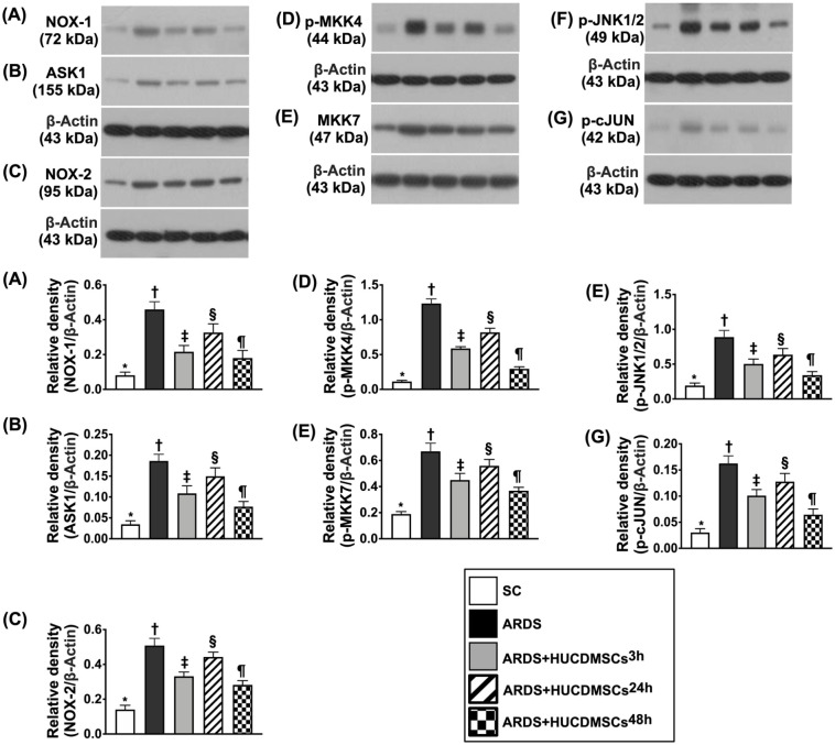 Figure 12.