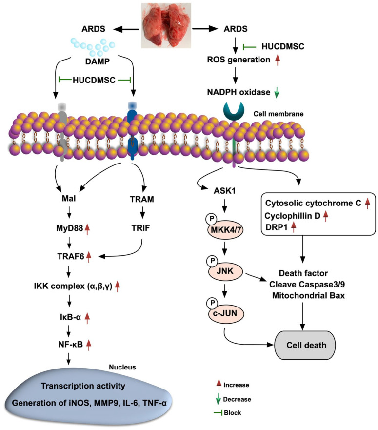 Figure 13.