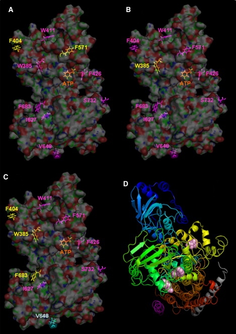 Figure 5