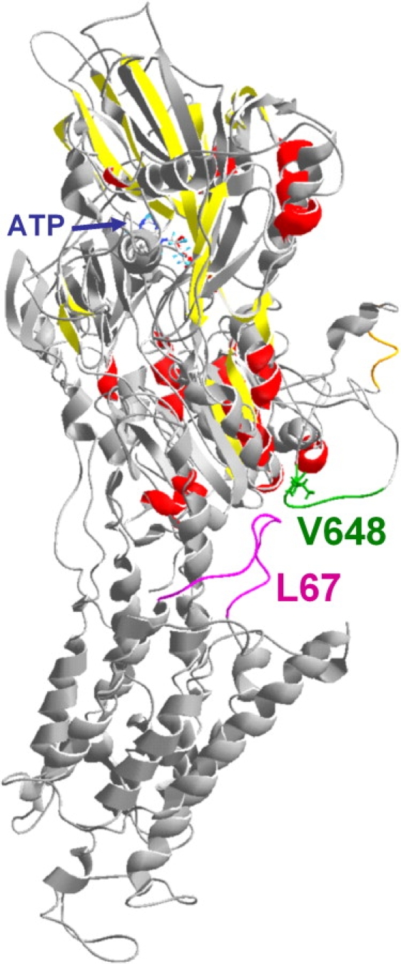 Figure 4