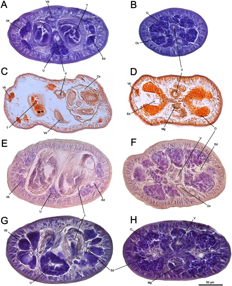 Fig 9