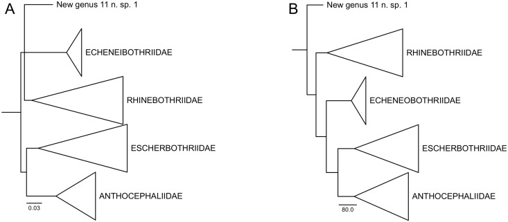 Fig 15