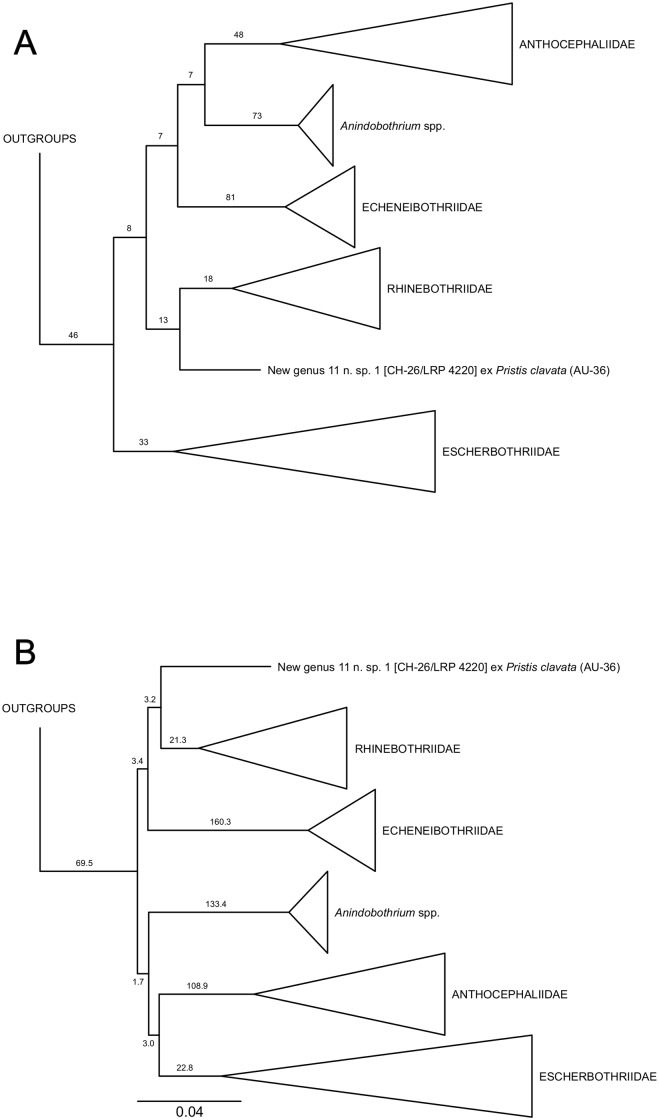 Fig 1