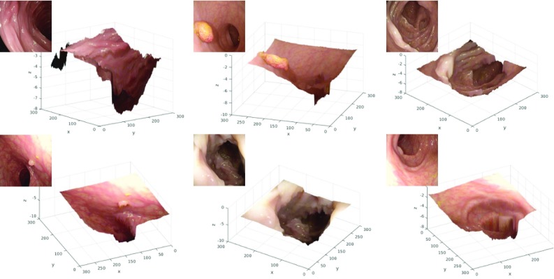 Fig. 6
