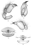 Figures 14–18.