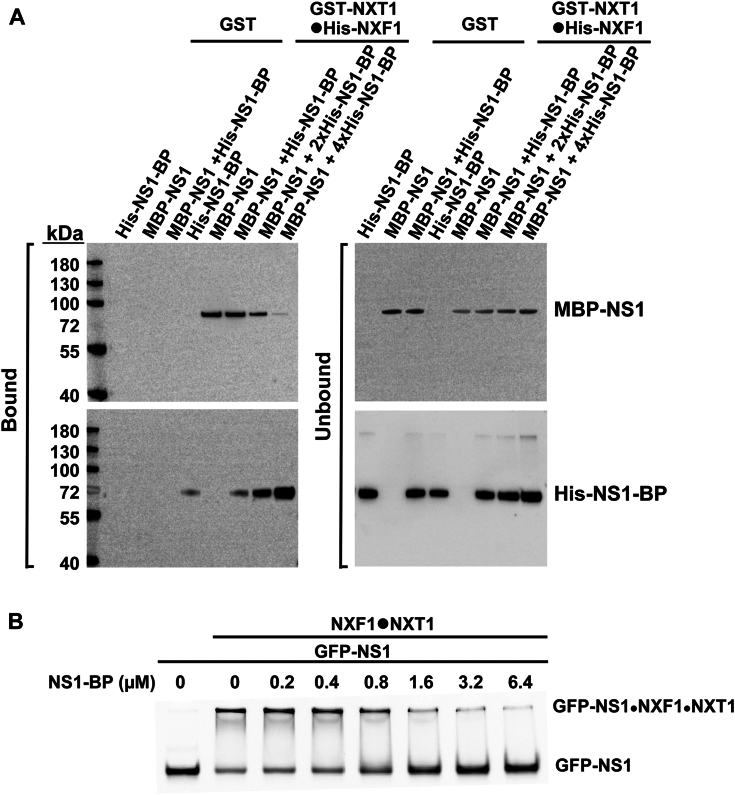 Figure 7