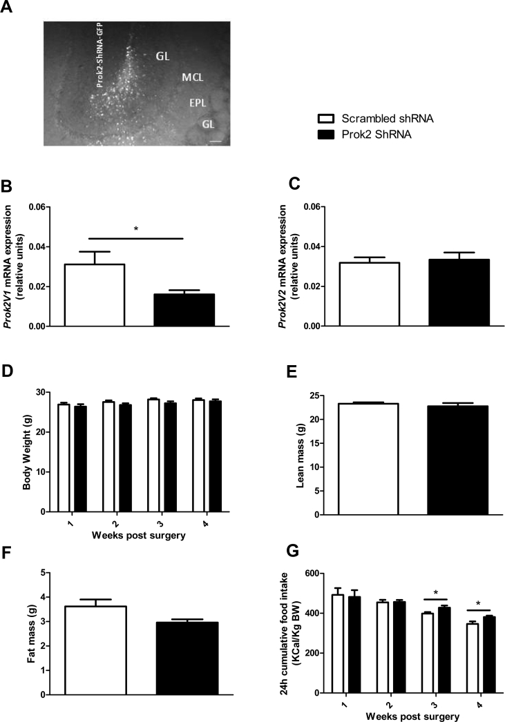 Figure 3