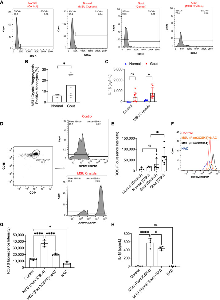 Figure 3