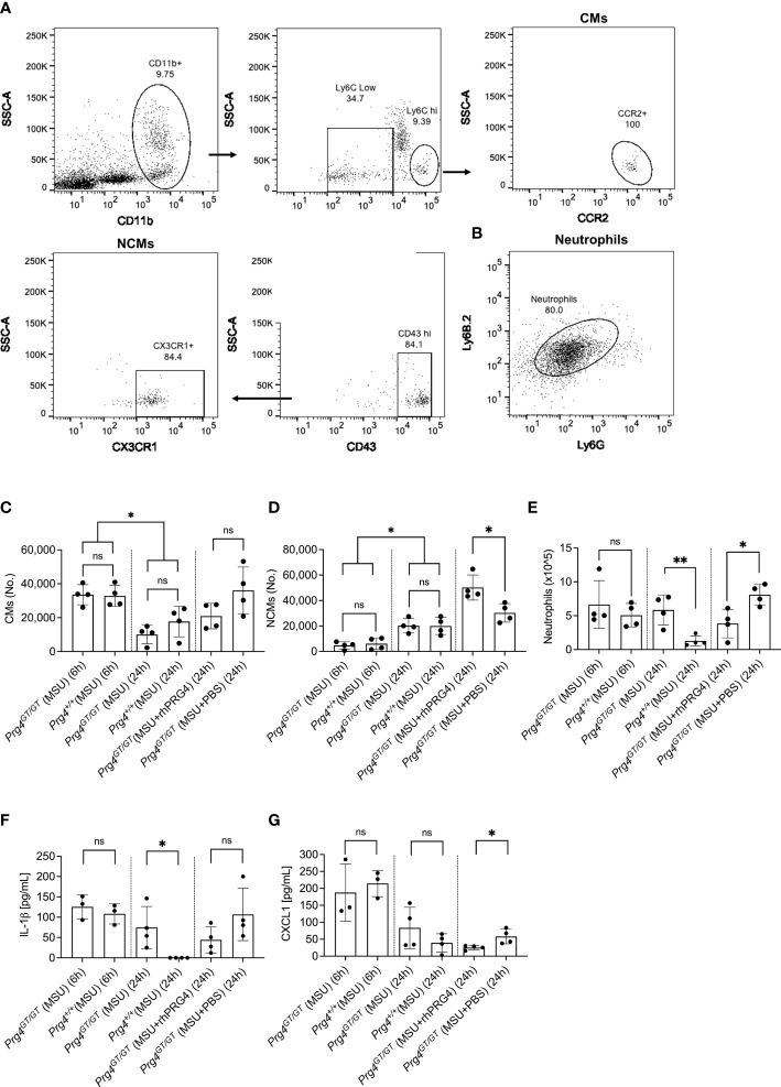 Figure 6